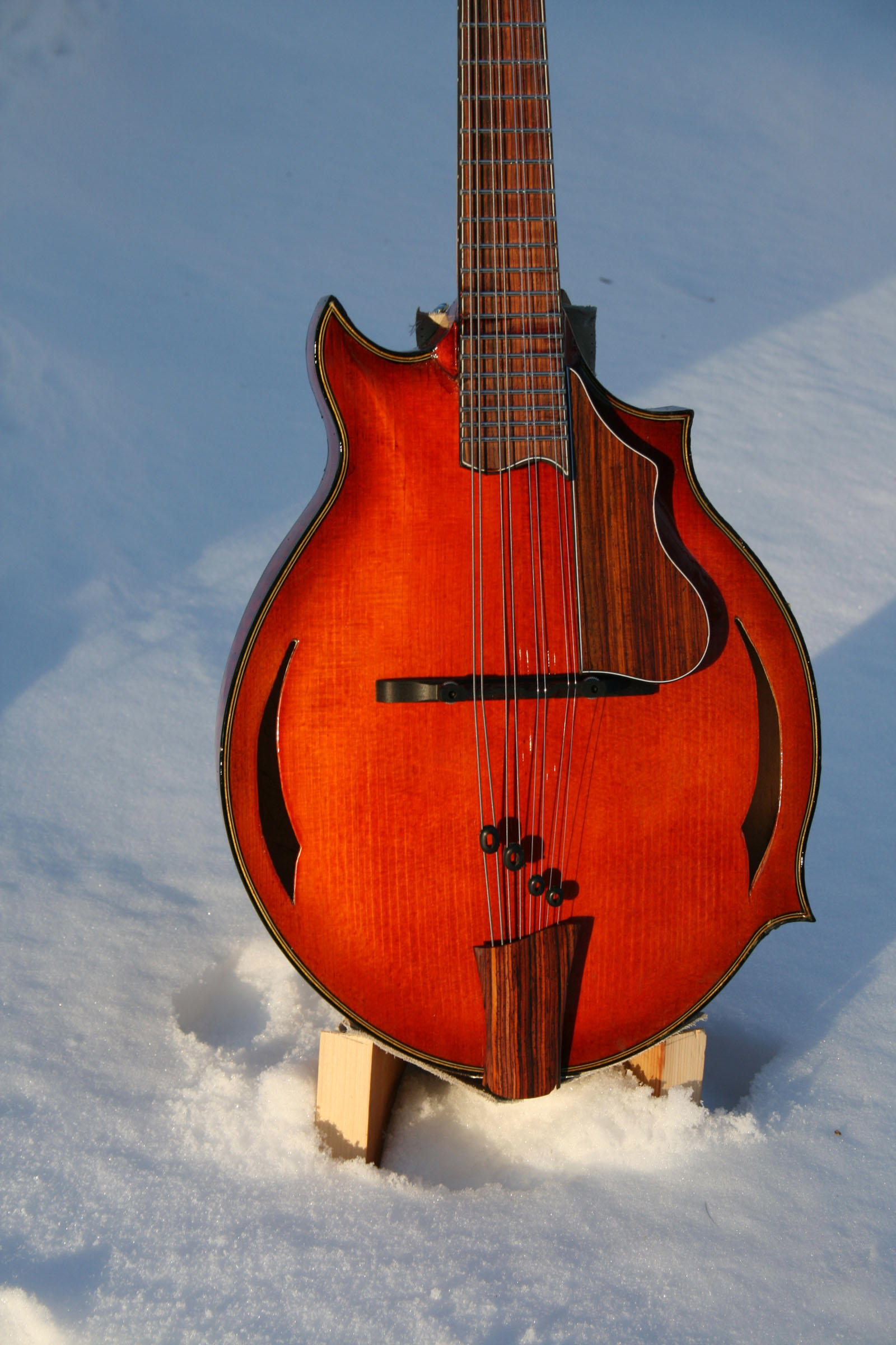 to Proulx Guitars & Mandolins!