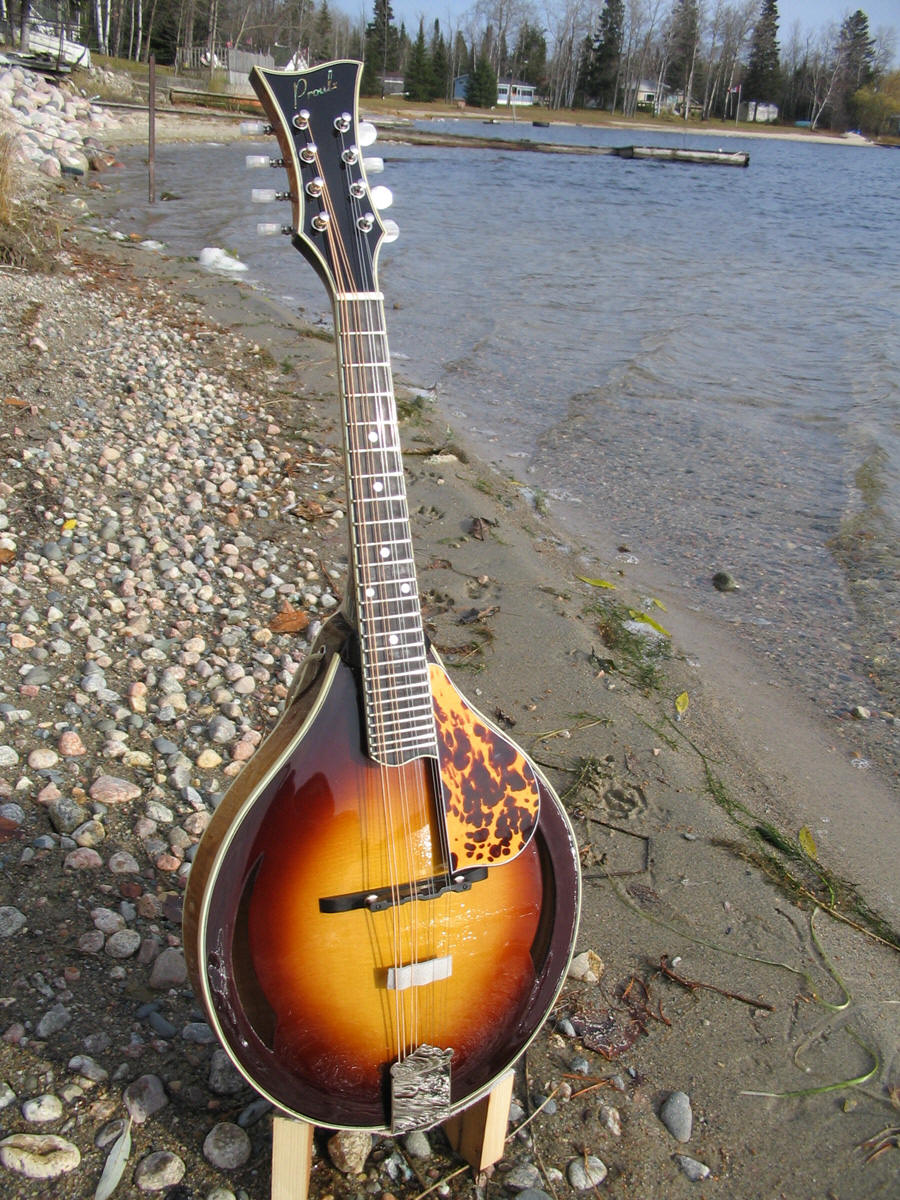 to Proulx Guitars & Mandolins!